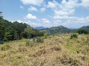 Land for Sale in Pussallawa