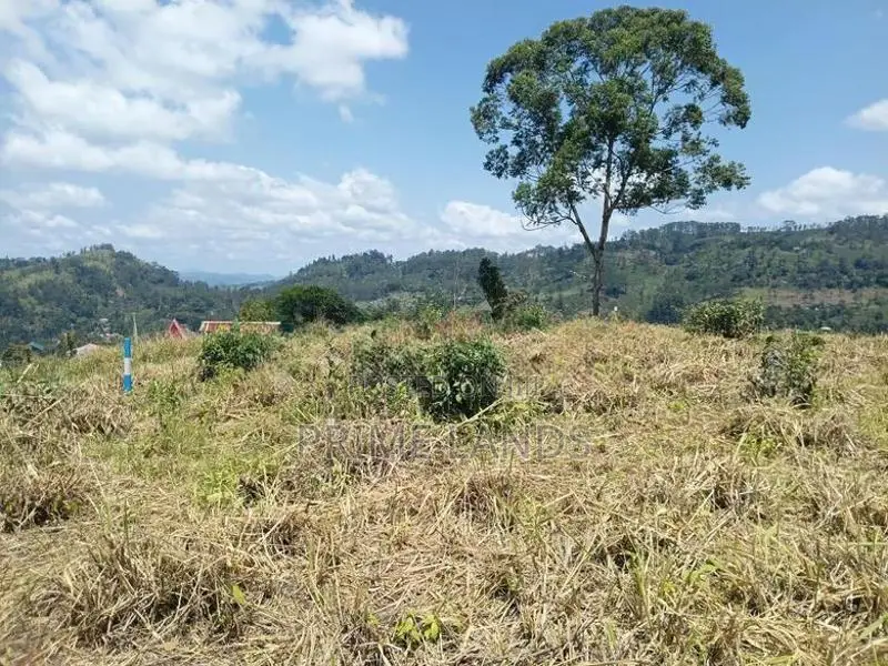 Land for Sale in Pussallawa