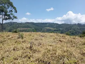 Land for Sale in Pussallawa