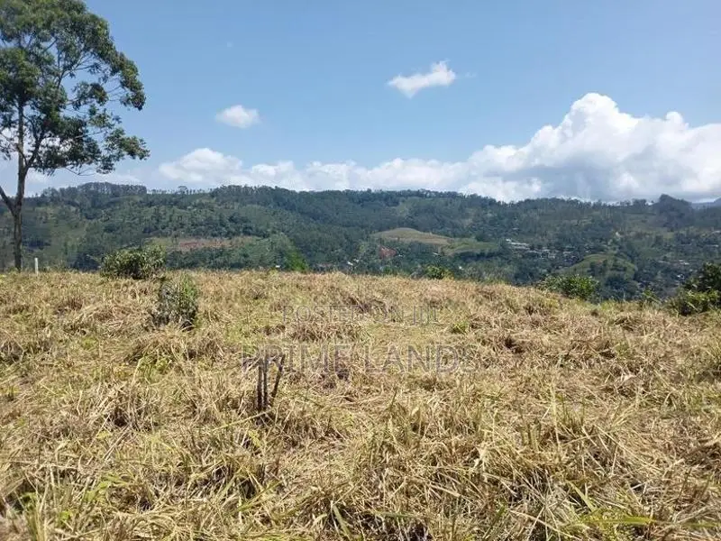 Land for Sale in Pussallawa