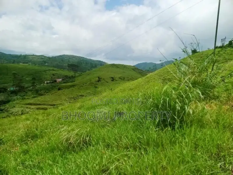 Scenic Hill Country Land for Sale – Hatton