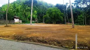 මීපෙන් අගනා බිම් කොටස්