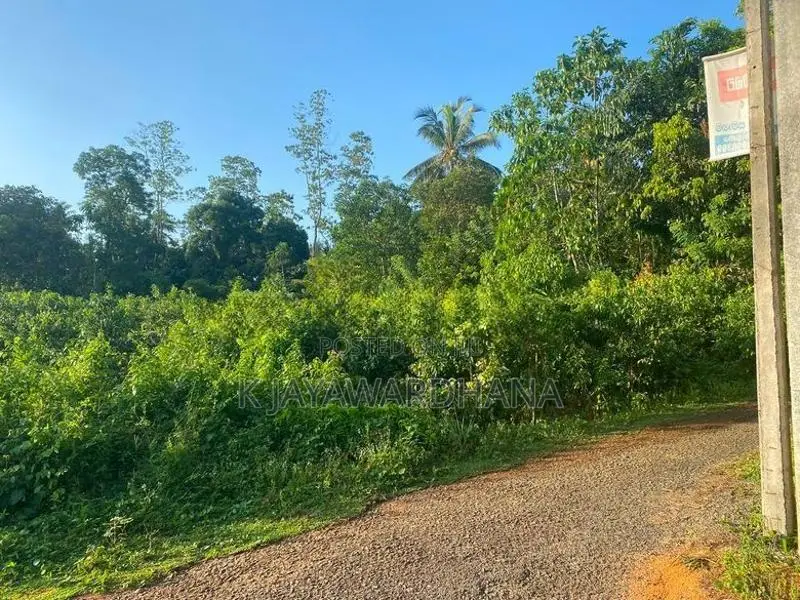දෙකටනින් ඉඩමක් Dekatana