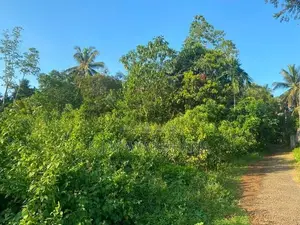 දෙකටනින් ඉඩමක් Dekatana