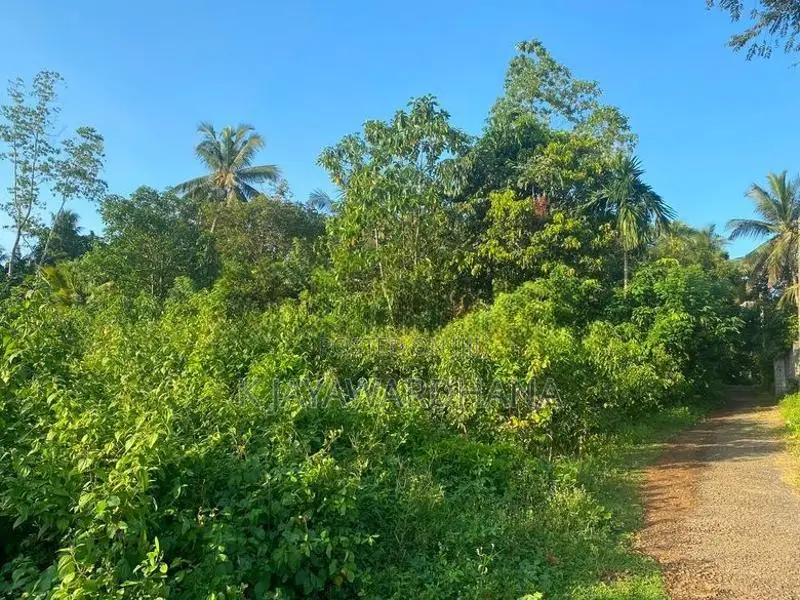 දෙකටනින් ඉඩමක් Dekatana