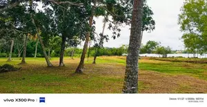 Land for Sale In Bandaragama