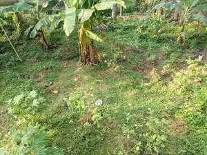 Land for Sale Kadawatha