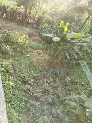 Land for Sale Kadawatha