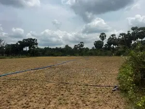 3 Acres Land for Sale Muththaiyankaddu