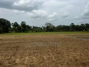 3 Acres Land for Sale Muththaiyankaddu