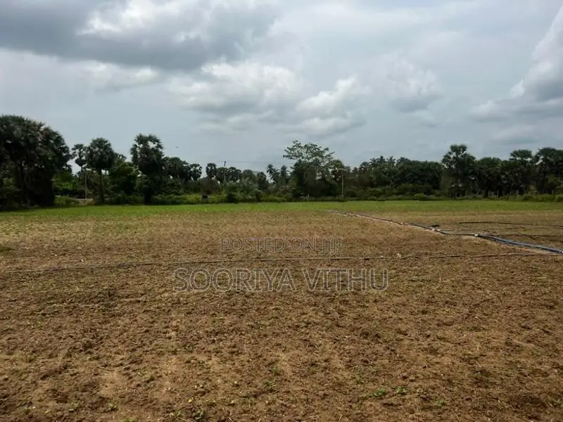 3 Acres Land for Sale Muththaiyankaddu