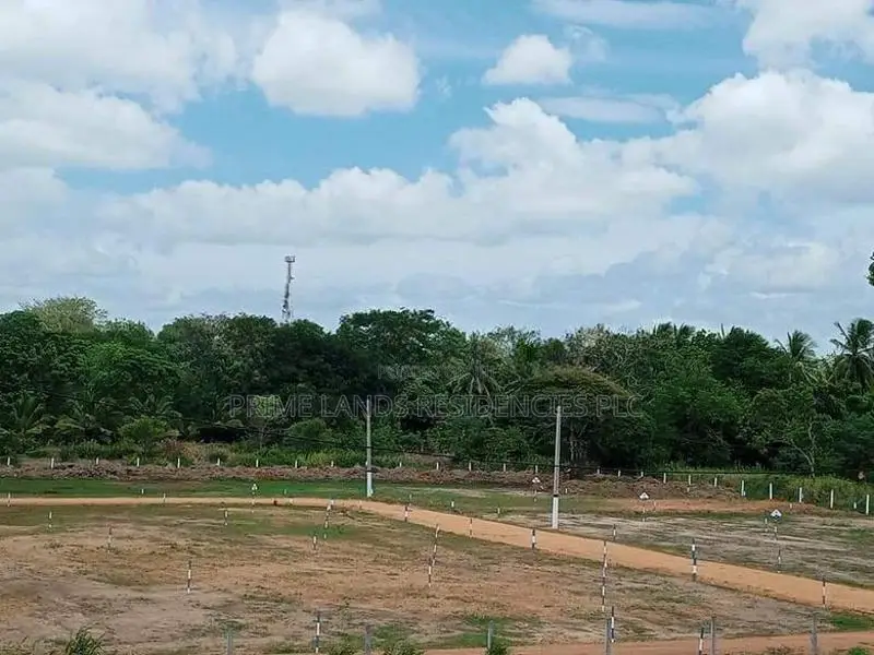 මහබුලංකුලම වැවට යාබදව සින්නක්කර බිම්කොටස් විකිණීමට