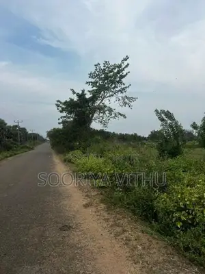 3 Acres Land for Sale Muththaiyankaddu