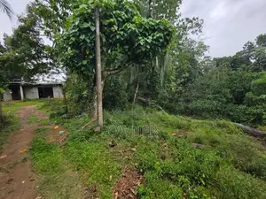 නෙලුන්දෙණිය නගරයෙන් පර්චස් 85ක ඉඩමක් විකිණීමට