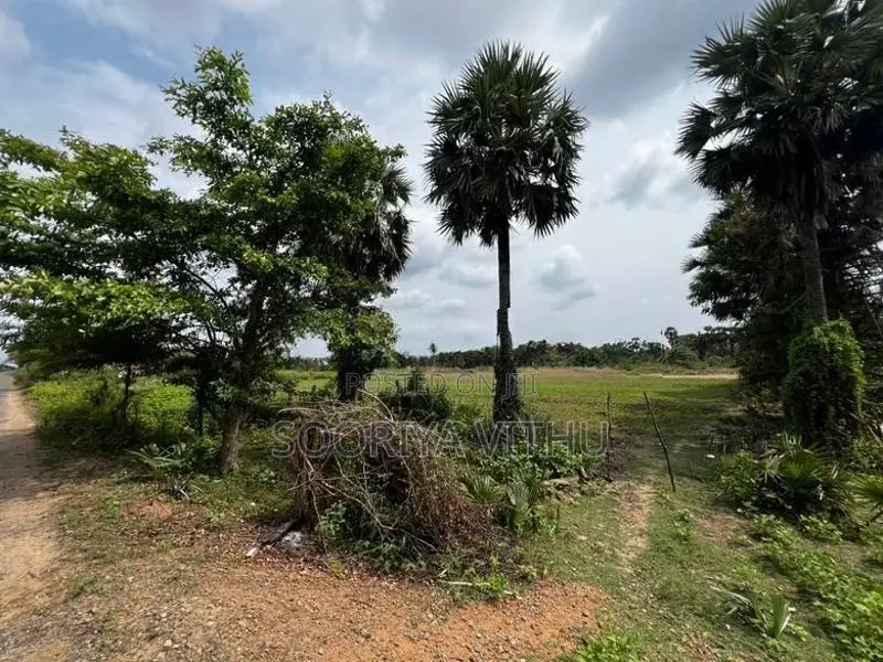 3 Acres Land for Sale Muththaiyankaddu