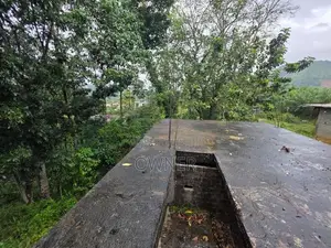 නෙලුන්දෙණිය නගරයෙන් පර්චස් 85ක ඉඩමක් විකිණීමට