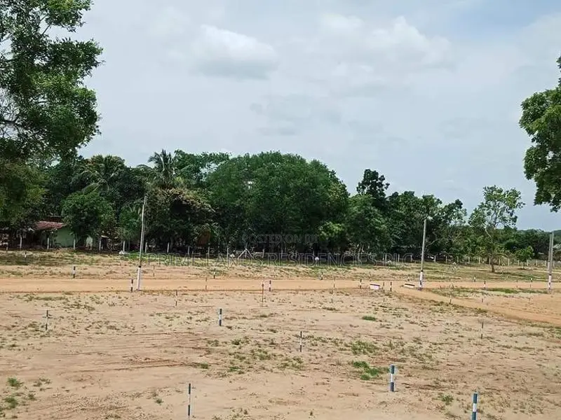 මහබුලංකුලම වැවට යාබදව සින්නක්කර බිම්කොටස් විකිණීමට