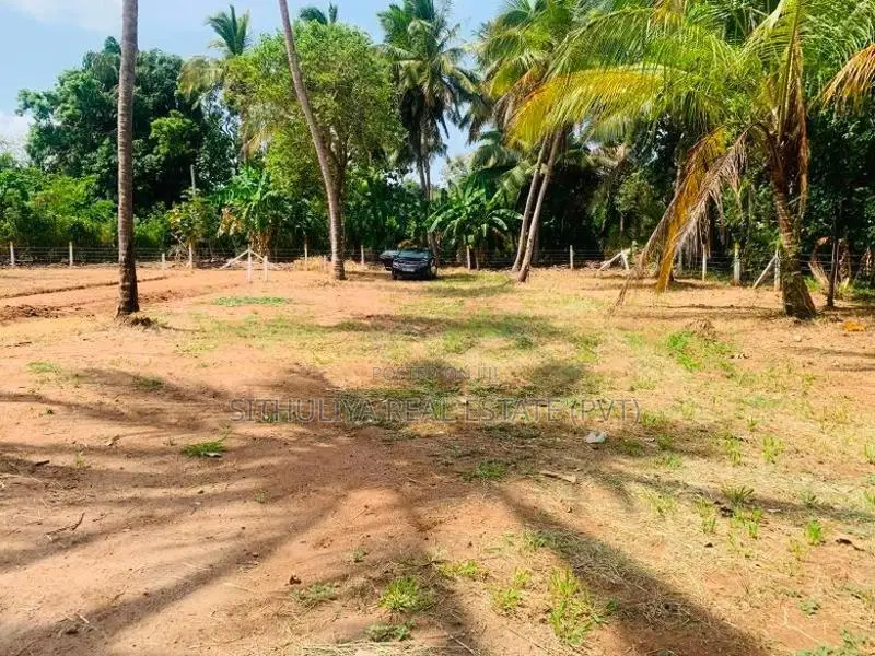 අනුරාධපුර සින්නක්කර ඔප්පු සහිත බිම් කොටස්