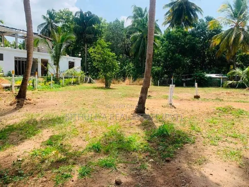 අනුරාධපුර සින්නක්කර ඔප්පු සහිත බිම් කොටස්