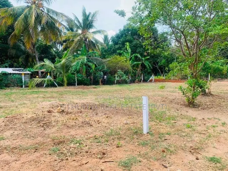 අනුරාධපුර සින්නක්කර ඔප්පු සහිත බිම් කොටස්