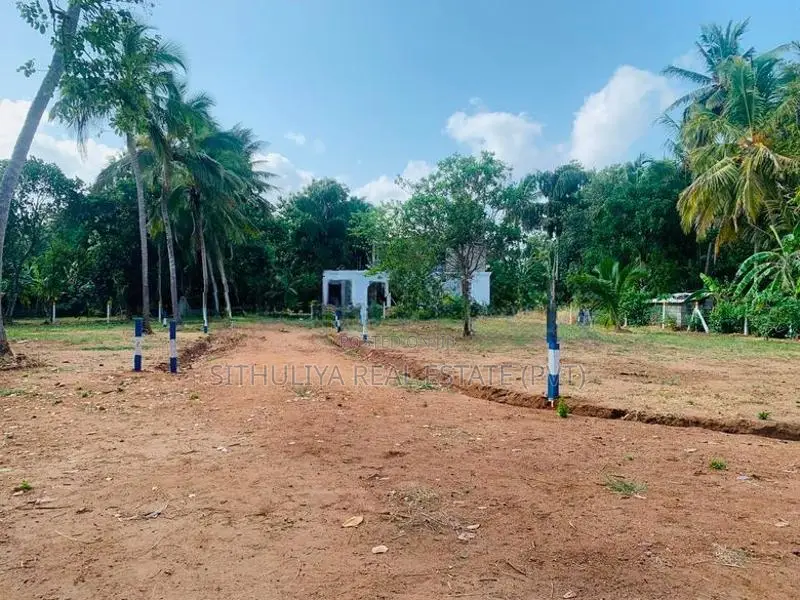 අනුරාධපුර සින්නක්කර ඔප්පු සහිත බිම් කොටස්