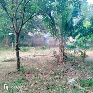 Land for Sale – Katunayake, Amandoluwa