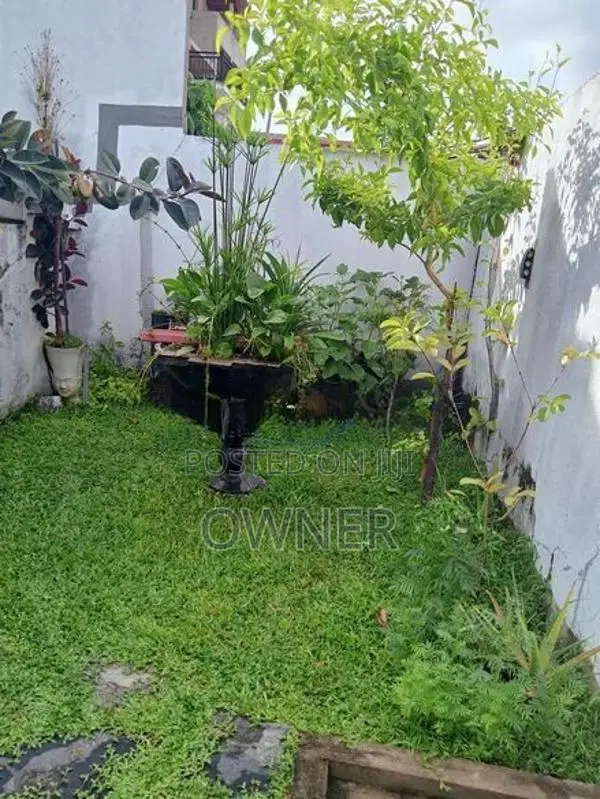 Homestay Bungalow Rent Makola( Luxury A/C)