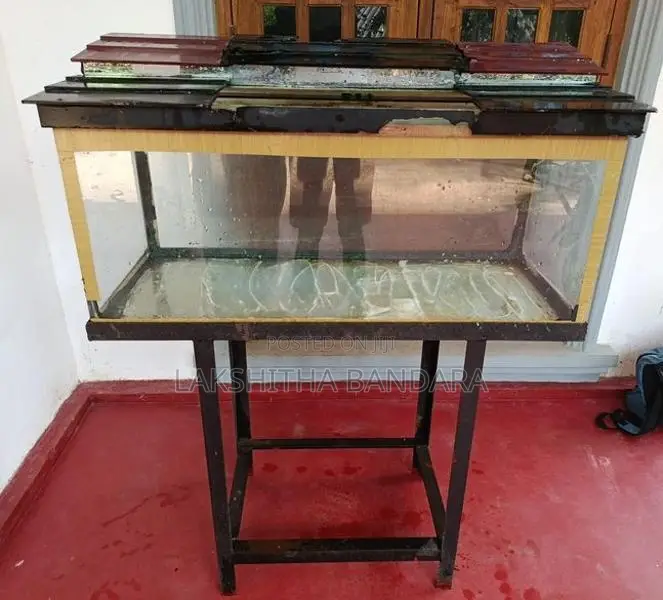 Fish Tank