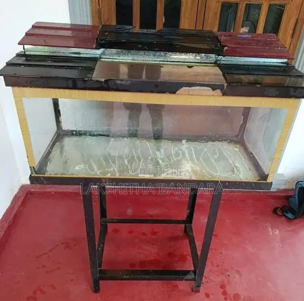 Fish Tank