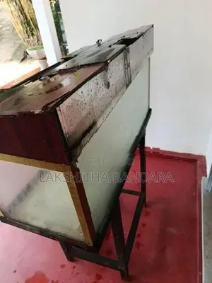 Fish Tank