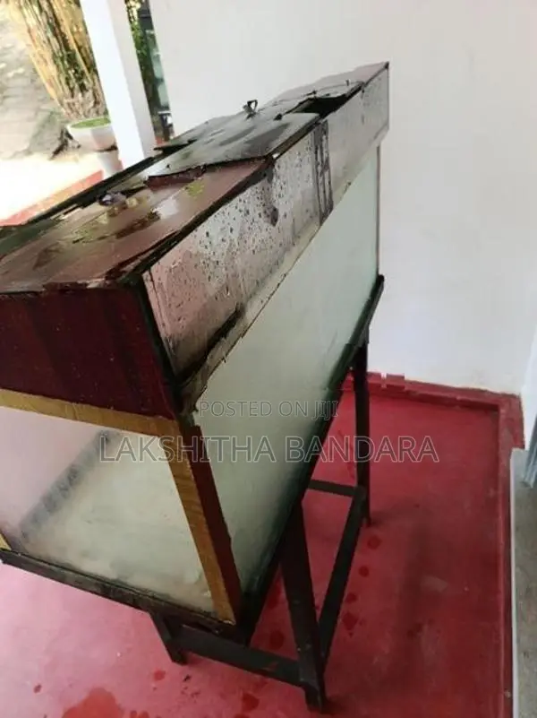 Fish Tank