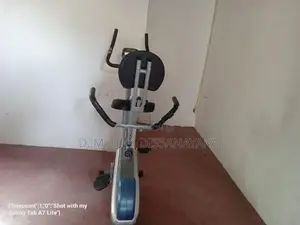 Magnetic bike