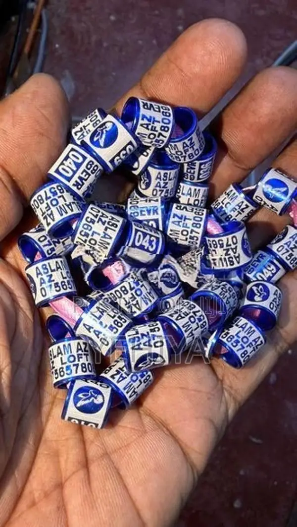 pigeon ring 50 pcs