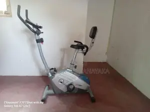 Magnetic bike