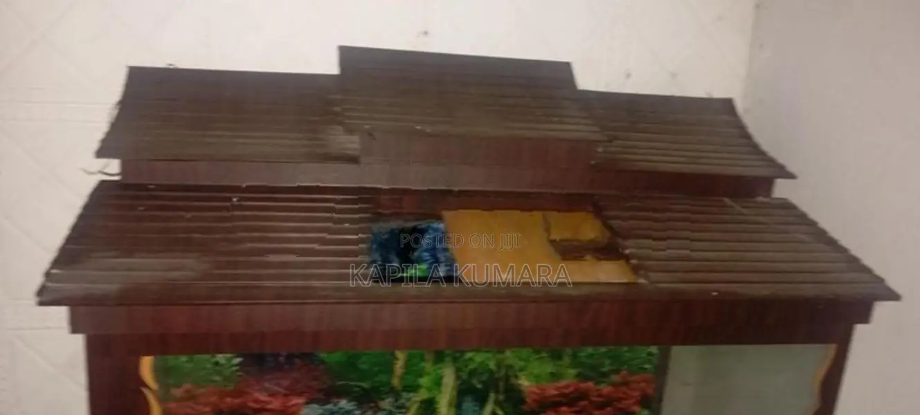 Fish Tank