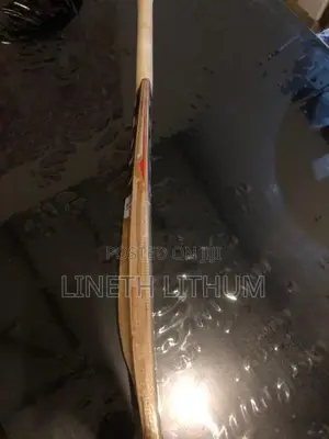 Cricket Bat TON