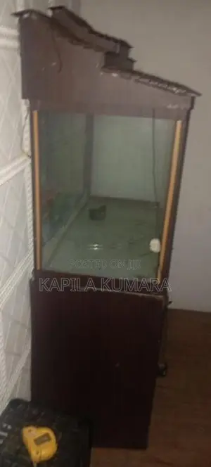 Fish Tank