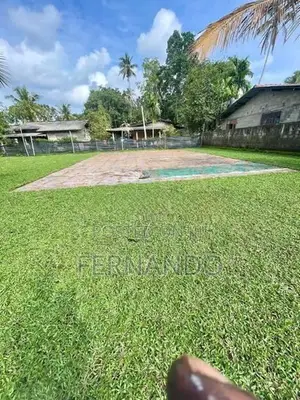 Malasiyan Carpet Grass