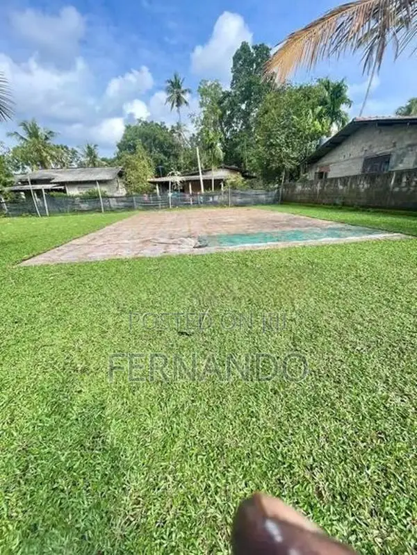 Malasiyan Carpet Grass