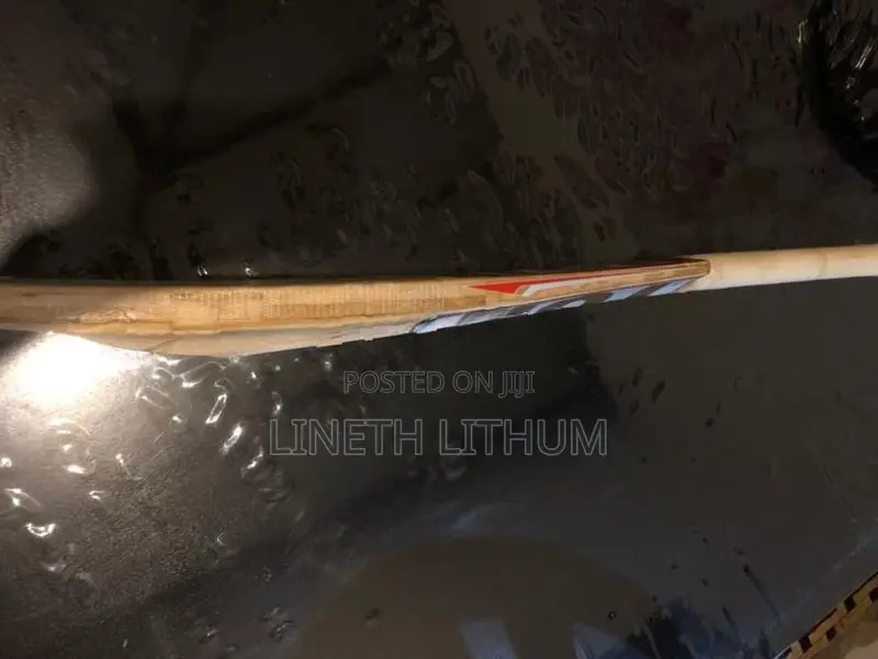 Cricket Bat TON