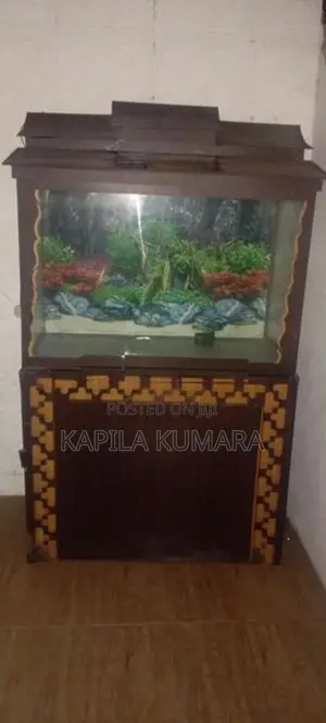 Fish Tank