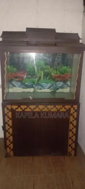 Fish Tank