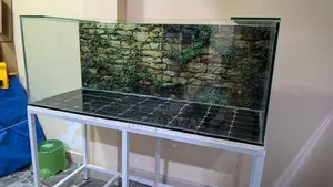 Fish Tank