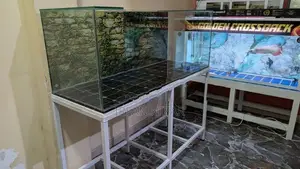 Fish Tank