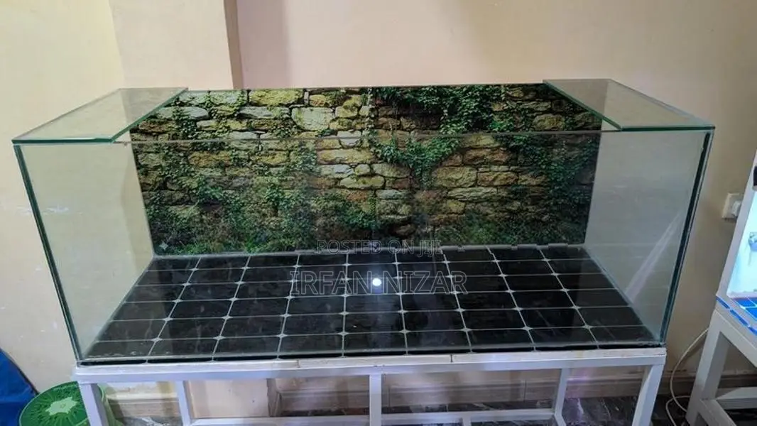Fish Tank