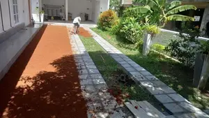 Malasiyan Carpet Grass