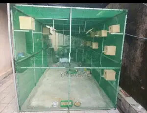 Bird Cage Aviary