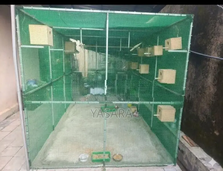 Bird Cage Aviary
