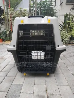 International Aviation Cat Carrier