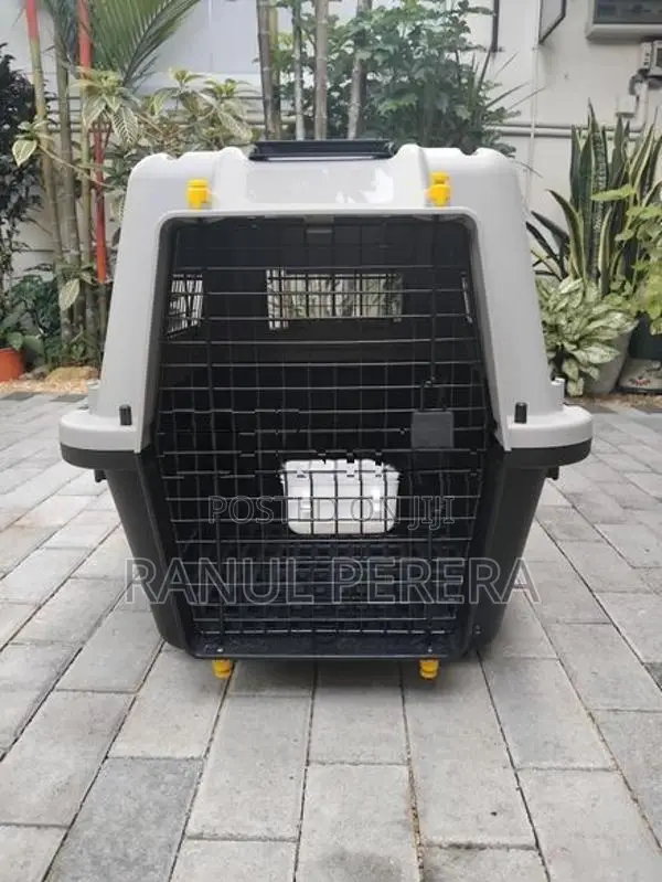 International Aviation Cat Carrier